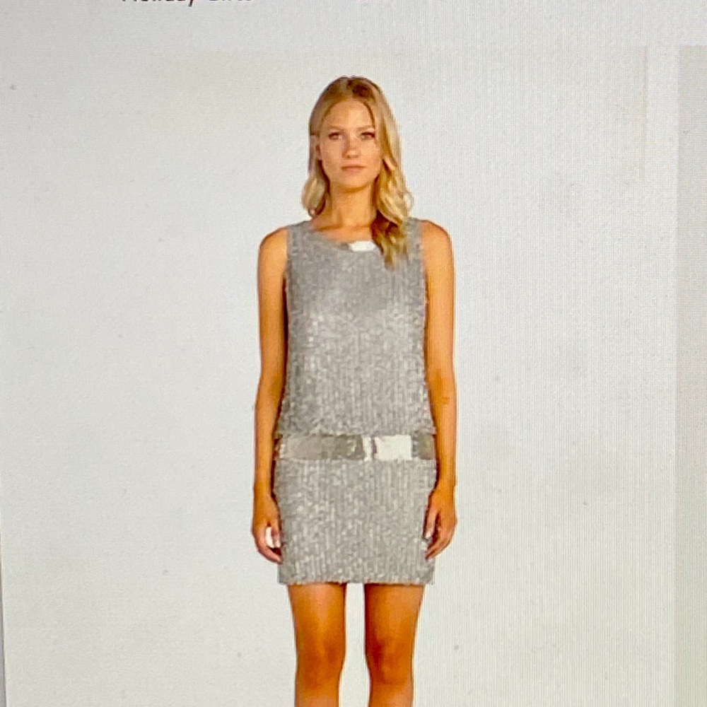 Drop Waist Beaded Silk Tank Dress Adrianna Papell